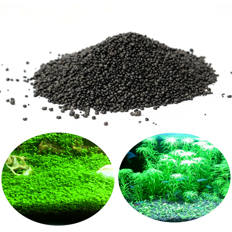 Planted Aquarium With Sand - Nước Hồ Cỏ Bùn Khoáng Vật