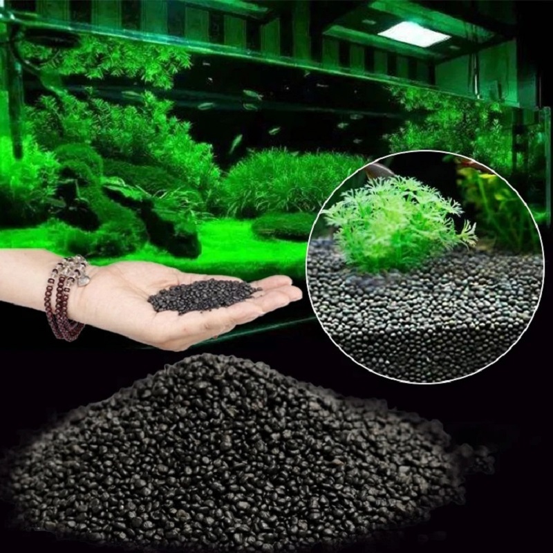 Planted Aquarium With Sand - Fish Tank Water Grass Mud Plant