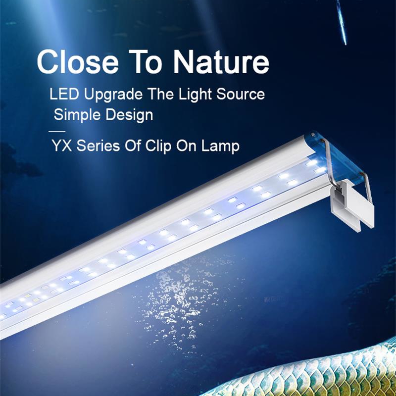 Planted Aquarium Pendant Light - Mở rộng không thấm nước Clip