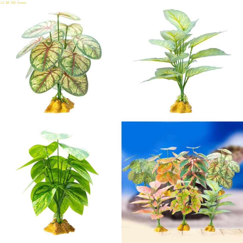 Planted Aquarium Jungle - W3JE Thực Tế Cỏ Trang Trí