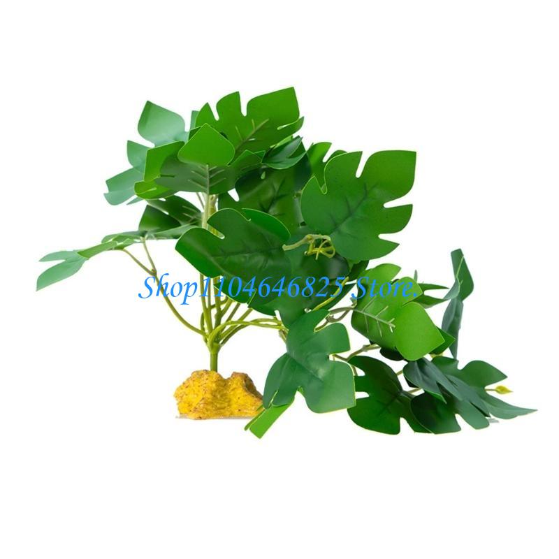 Planted Aquarium Jungle - Bể cá Bò sát Rừng cỏ
