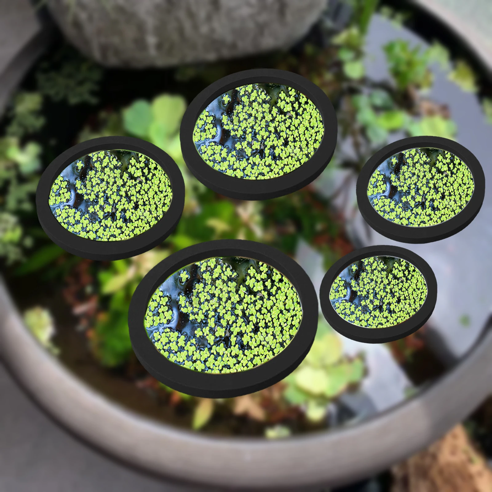 Aquarium Plants Book - 5Pcs EVA Fish Feeding Ring Aquarium