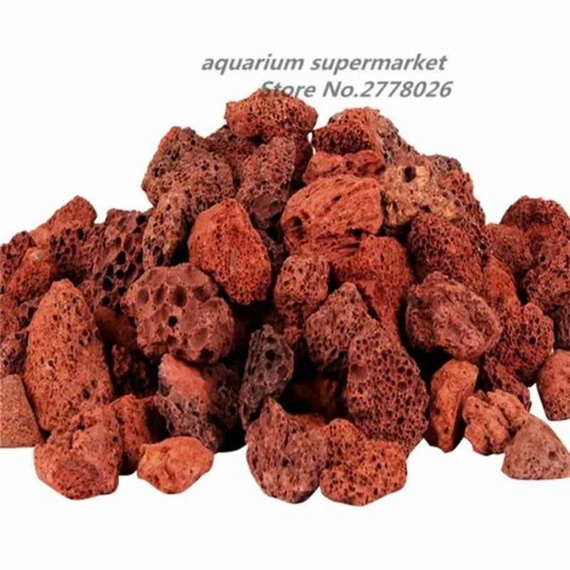 Planted Aquarium With Sand - Lọc bể cá cảnh chất liệu