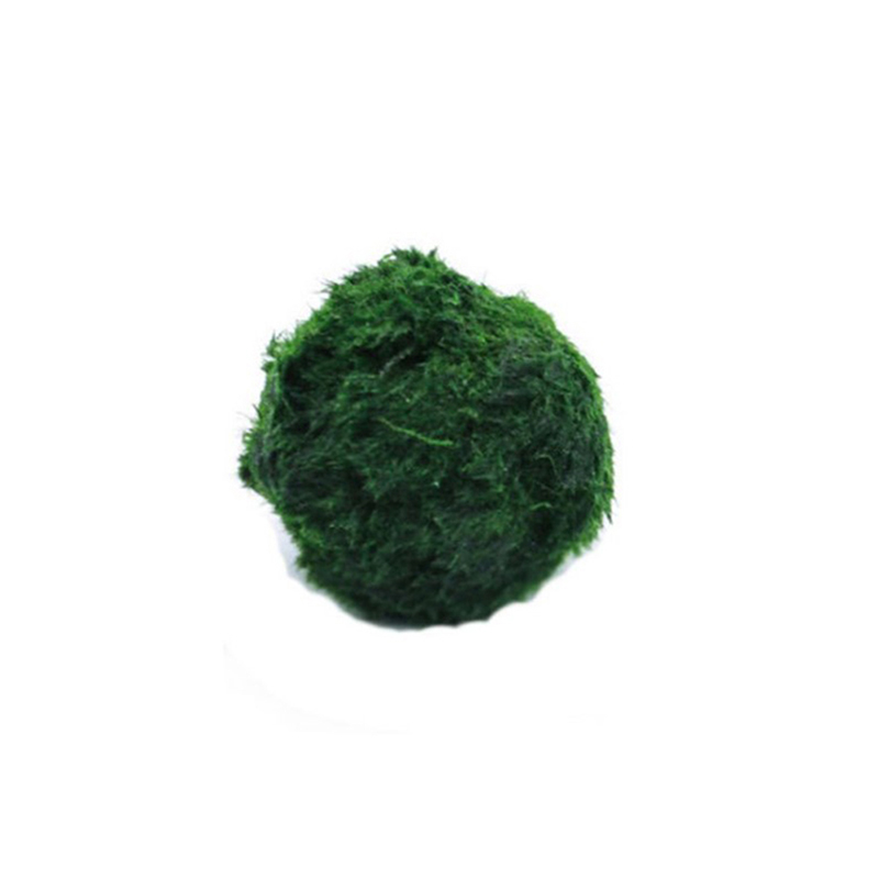 Aquarium Planted Tank Substrate - Marimo Moss Balls Live Aquarium Plant