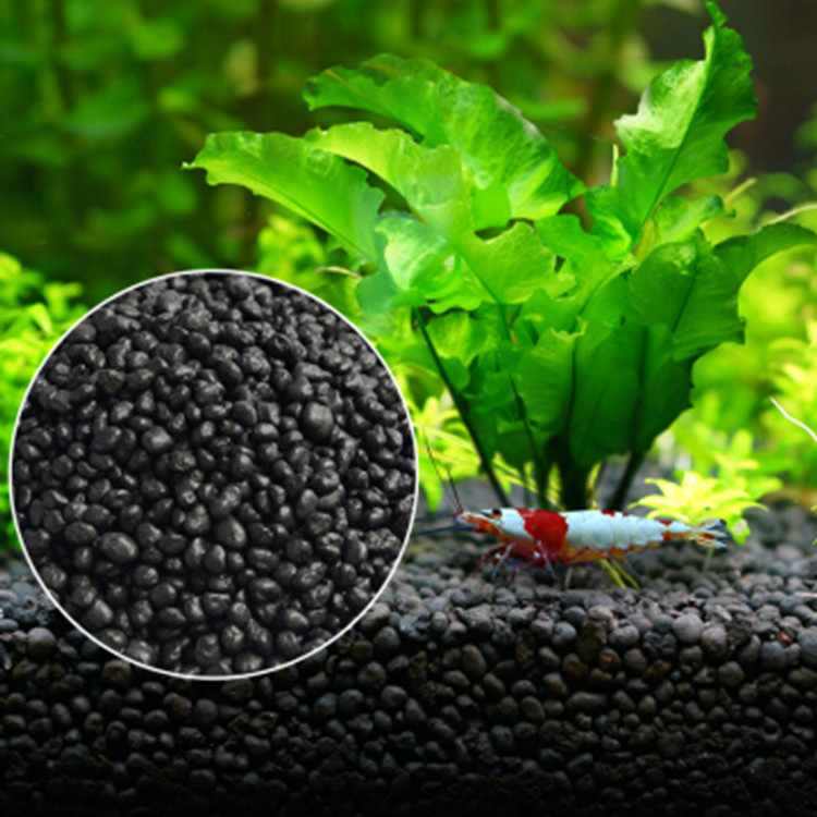 Aquarium Plants Book - Bể Cá Cảnh Vật Có Hạt