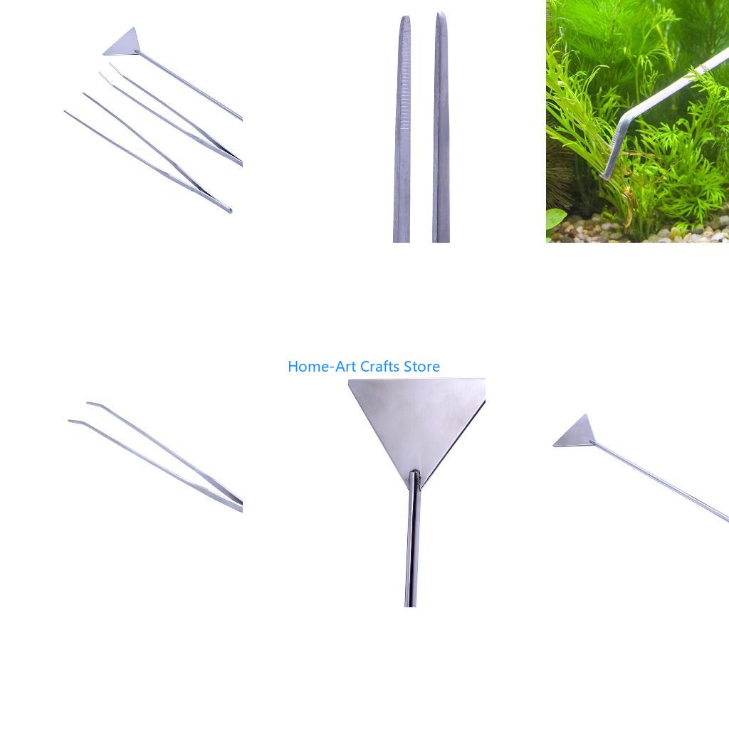 Planted Aquarium Tank Kit - Y3NA 3 Miếng Bể Cá Bộ