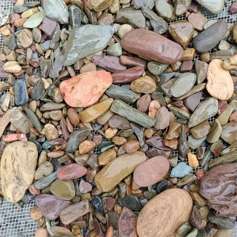 500g Fish Tank Bottom Sand Sto - đánh giá và giá Planted Aquarium With Sand