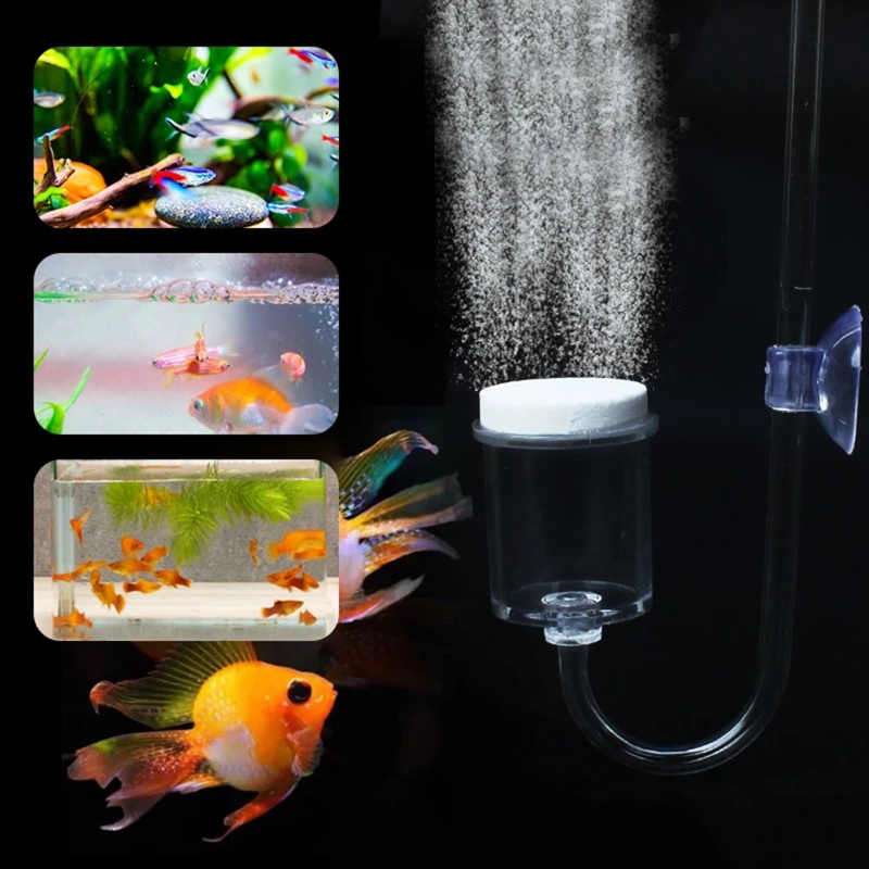 4pcs Set DIY CO2 Diffuser For  - đánh giá và giá Aquarium Planted Tank Substrate