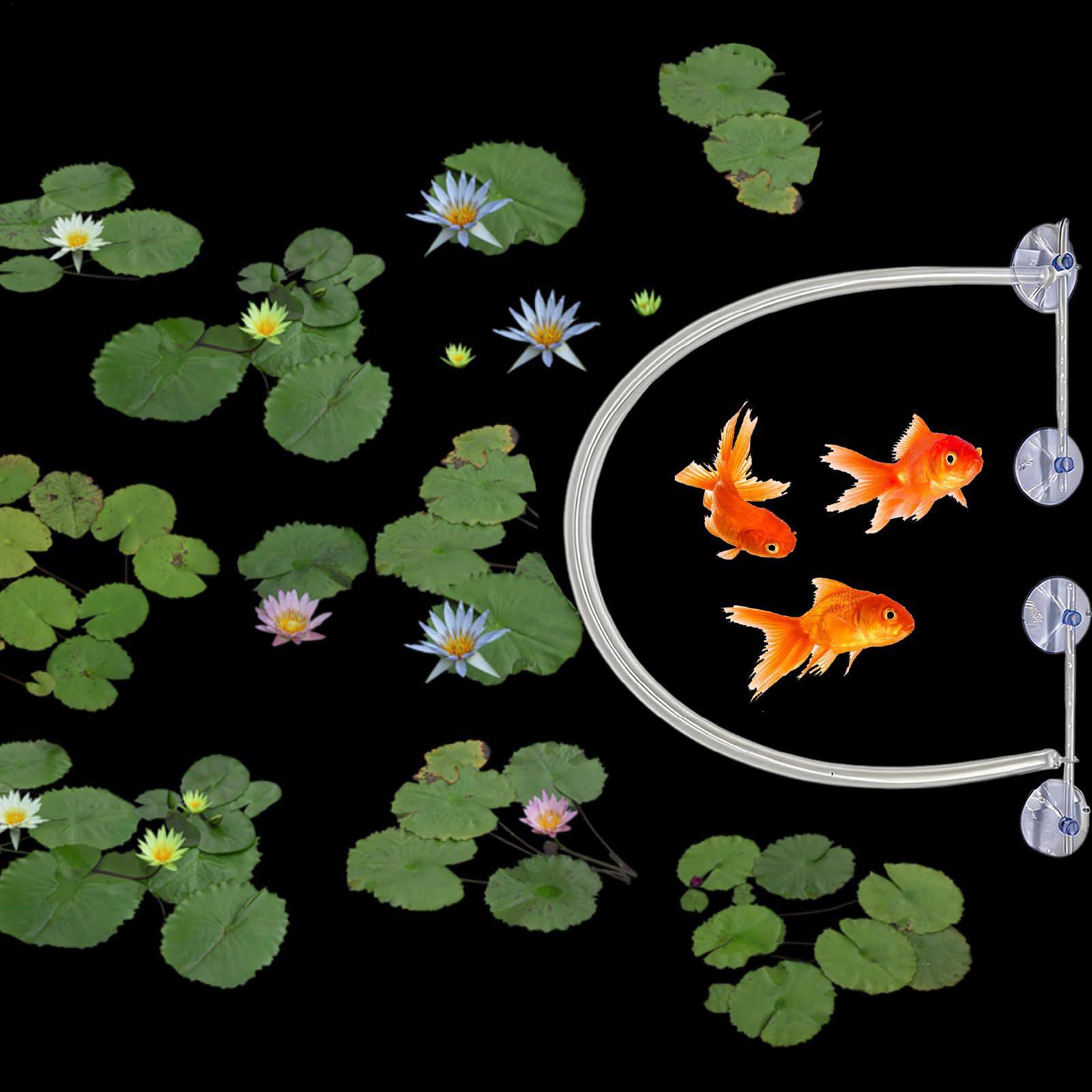 Floating Plant Corral Auto Hei - đánh giá và giá Planted Aquarium Tank Kit