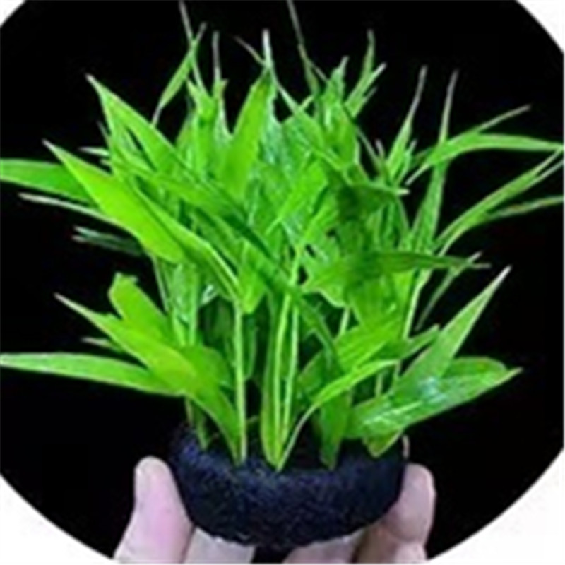 Base Planting Mat Twin Pack Bl - đánh giá và giá Aquarium Planted Tank Substrate