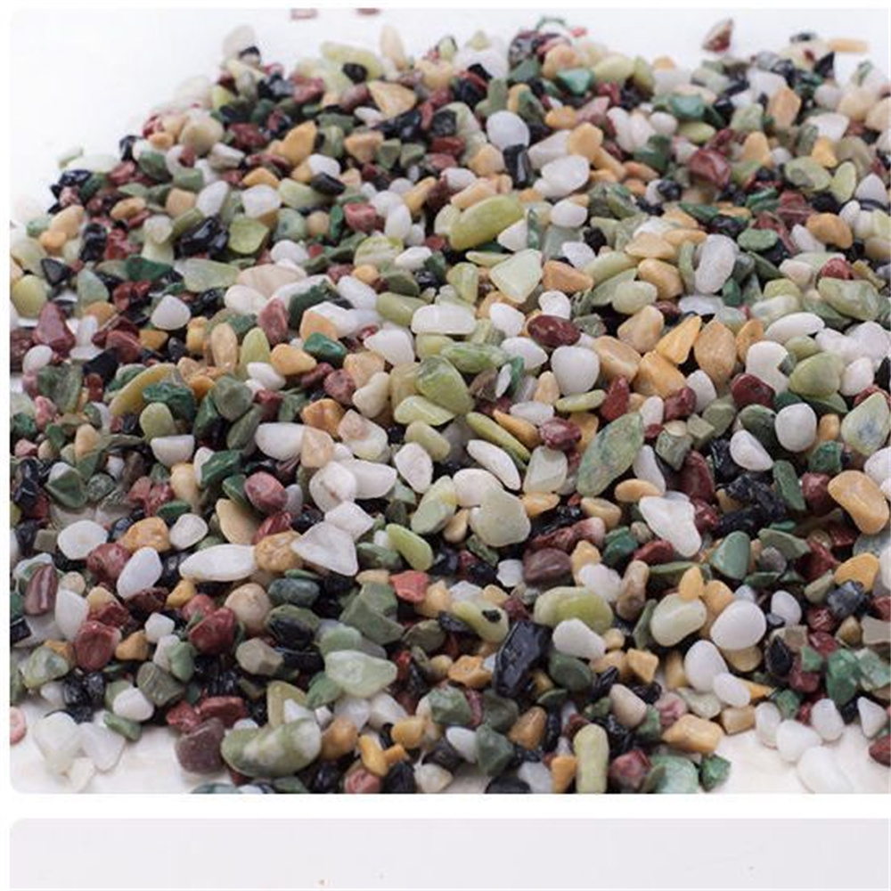 50/Tự Nhiên 100G Tinh Thể Sỏi  - đánh giá và giá Planted Aquarium With Sand