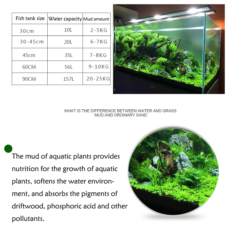 Fish Tank Water Grass Mud Plan - đánh giá và giá Planted Aquarium With Sand