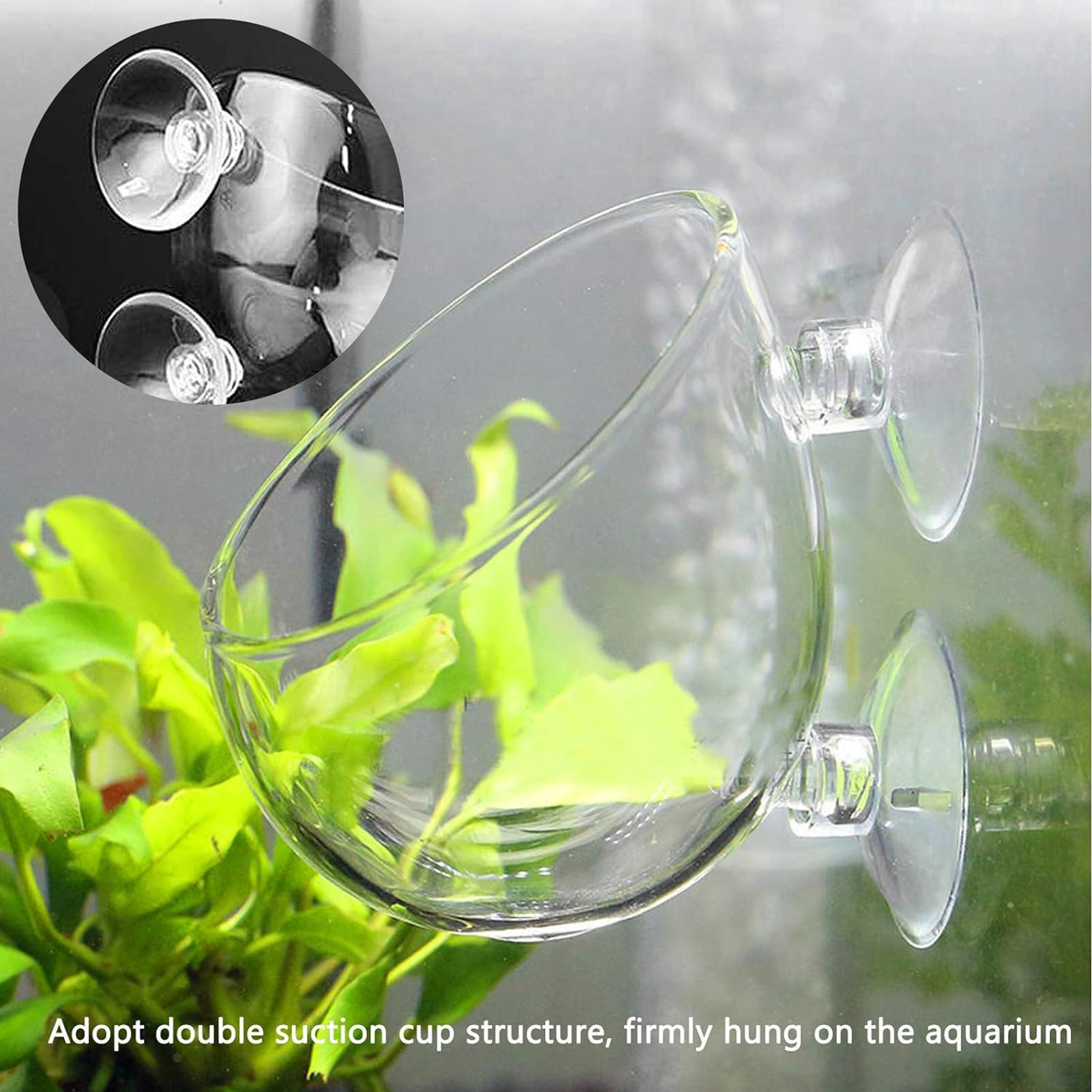 Aquarium Glass Plant Pot with  - đánh giá và giá Aquarium Planted Tank Substrate