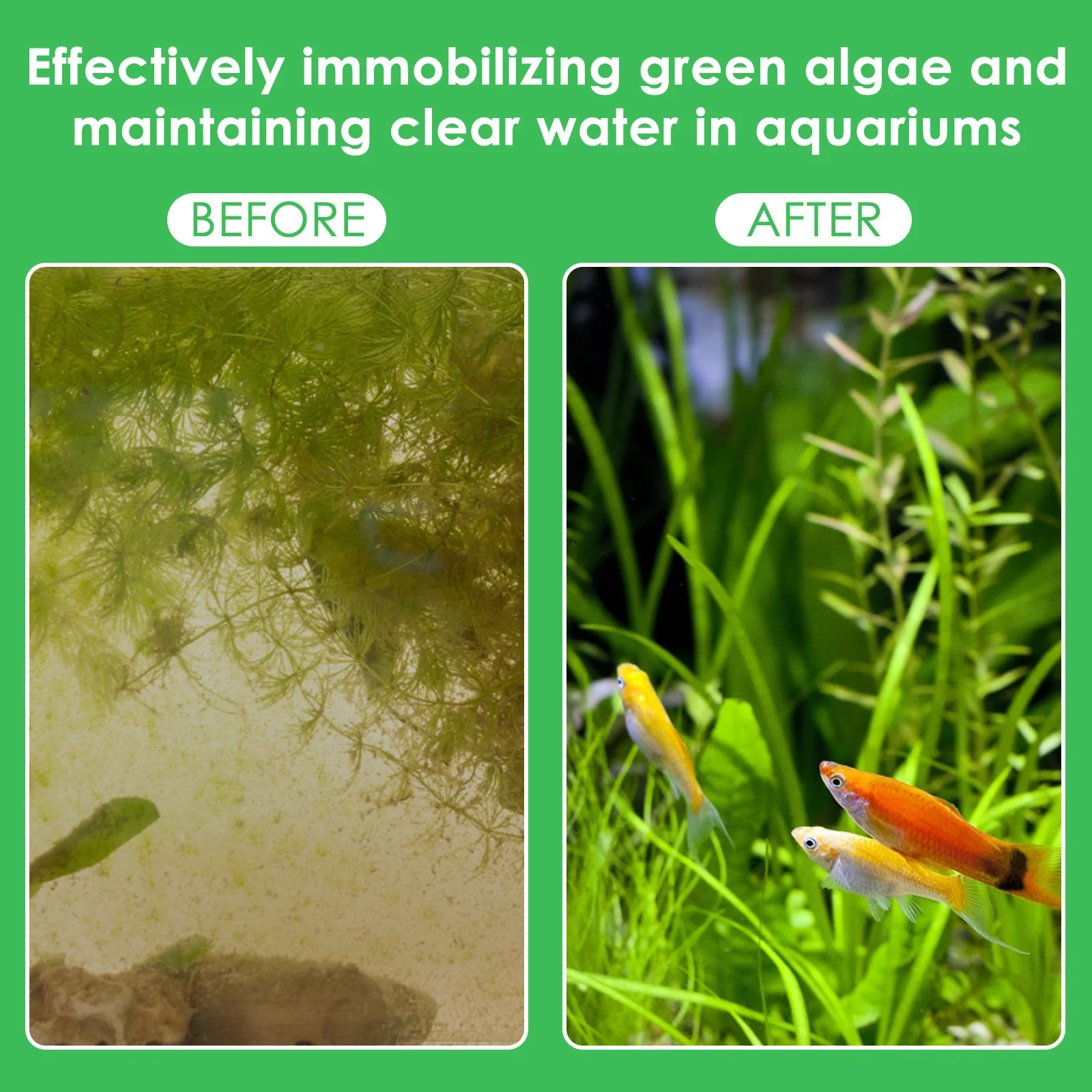 50Pcs Aquarium Plant Weights F - đánh giá và giá Aquarium Planted Tank Substrate