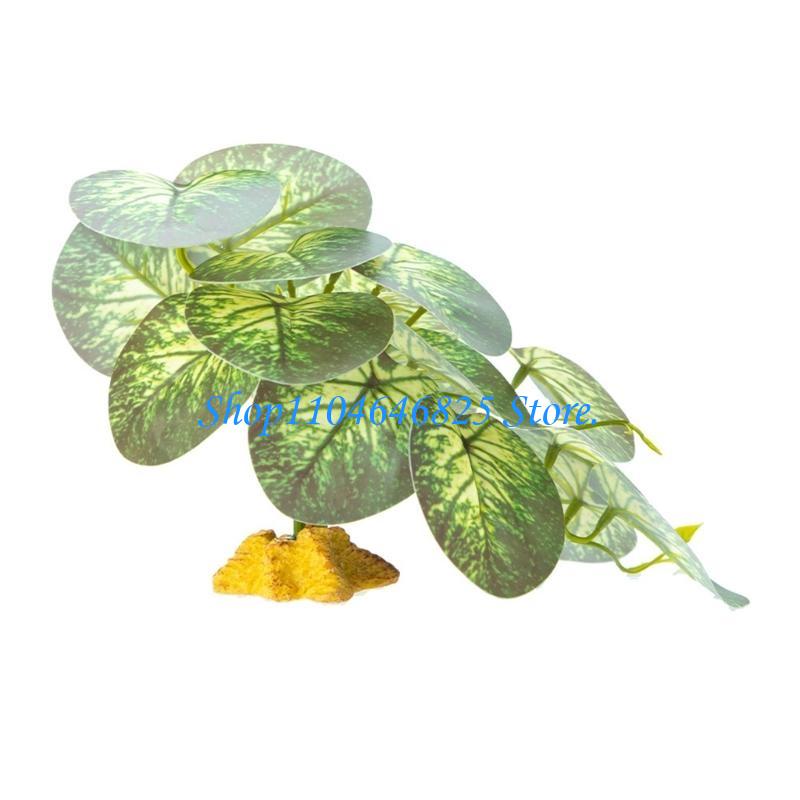 Bể cá Bò sát Rừng cỏ Dây Lá Te - đánh giá và giá Planted Aquarium Jungle