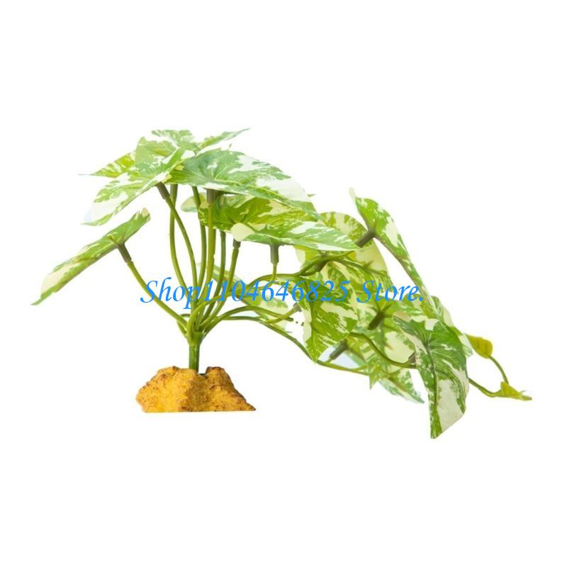 Bể cá Bò sát Rừng cỏ Dây Lá Te - đánh giá và giá Planted Aquarium Jungle