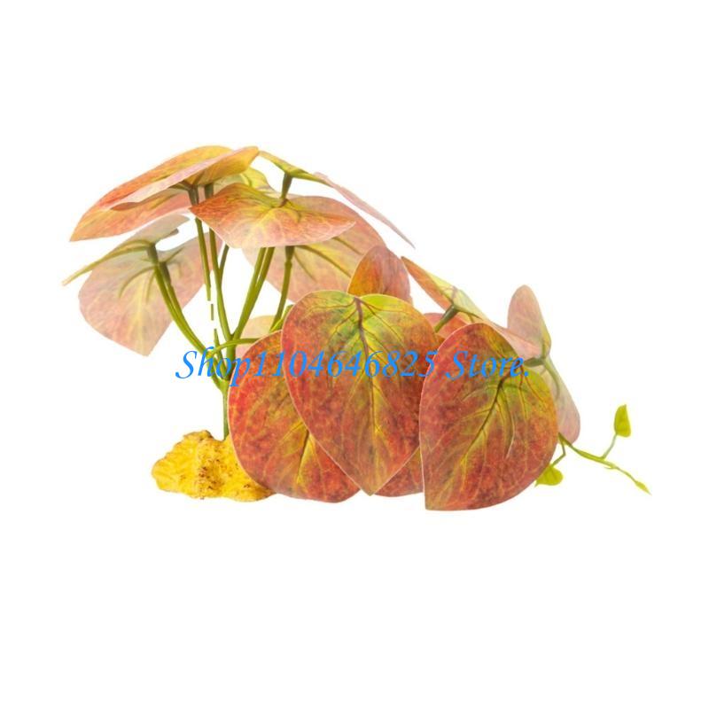 Bể cá Bò sát Rừng cỏ Dây Lá Te - đánh giá và giá Planted Aquarium Jungle