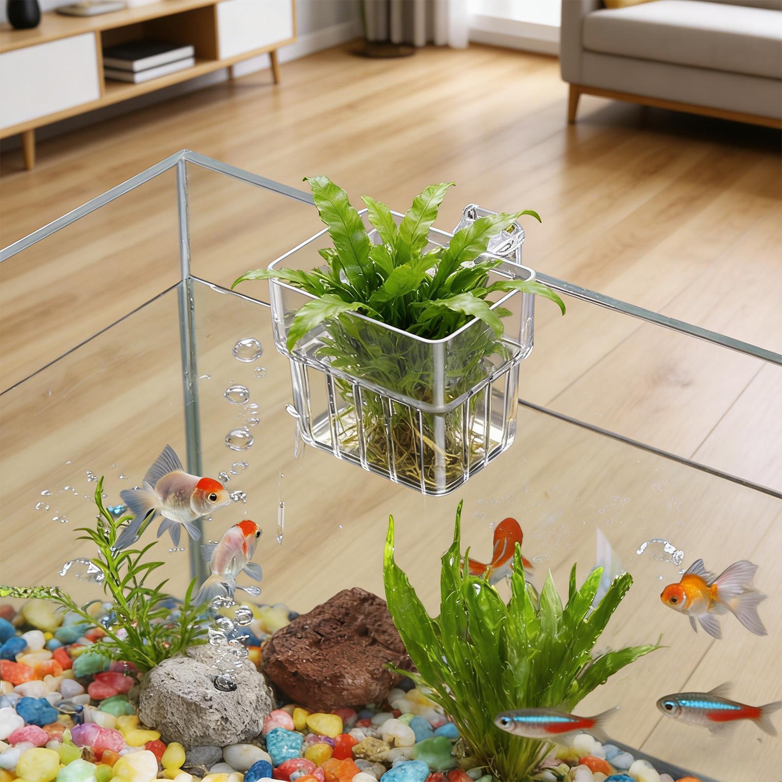 Transparent Hangable Aquarium  - đánh giá và giá Planted Aquarium Kit