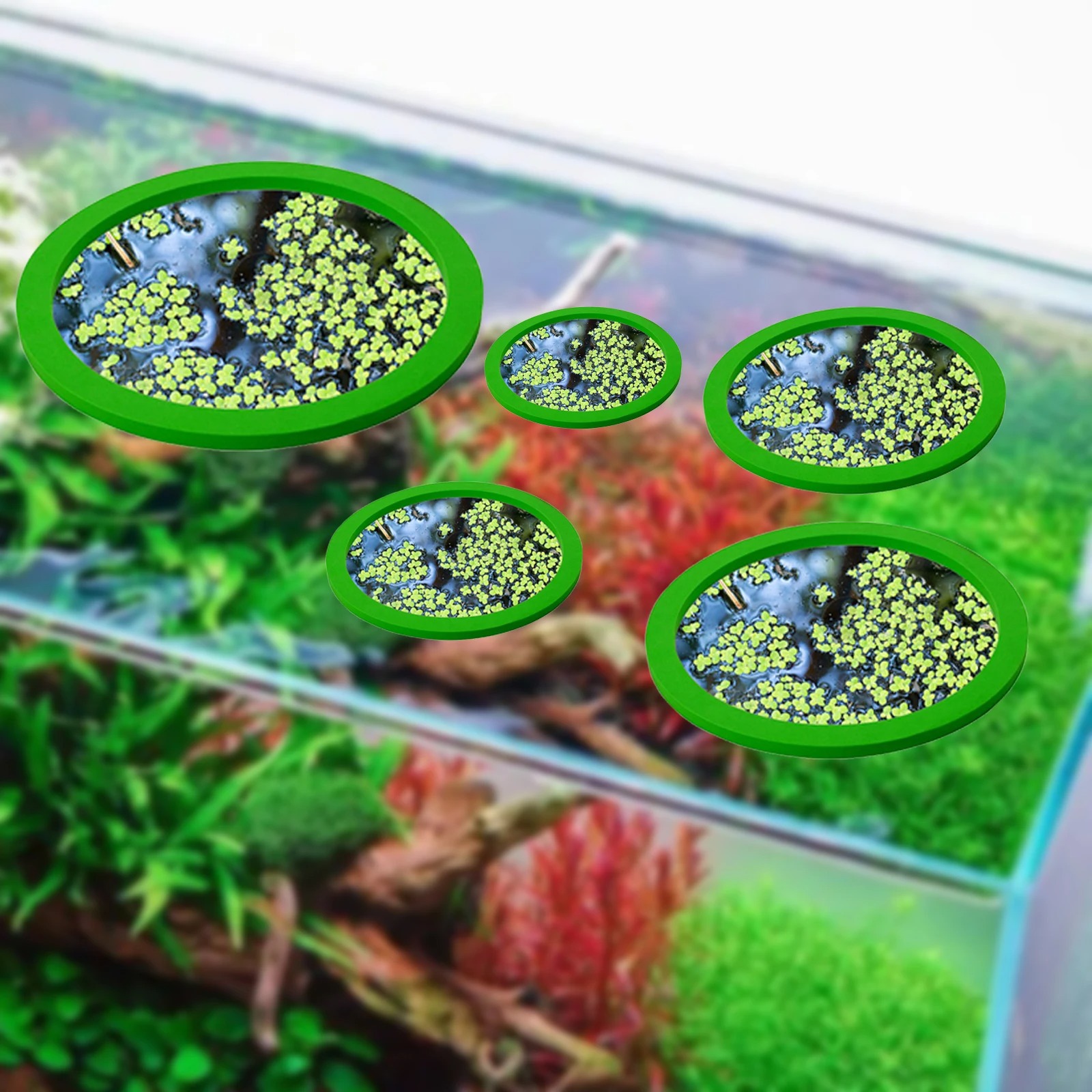 5Pcs EVA Fish Feeding Ring Aqu - đánh giá và giá Aquarium Plants Book