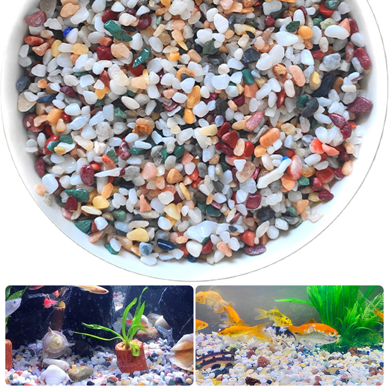 Natural Gravel Stone 200~1000g - đánh giá và giá Planted Aquarium With Sand