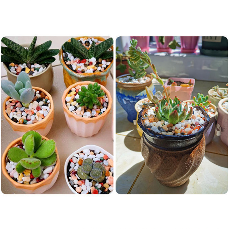 Natural Gravel Stone 200~1000g - đánh giá và giá Planted Aquarium With Sand