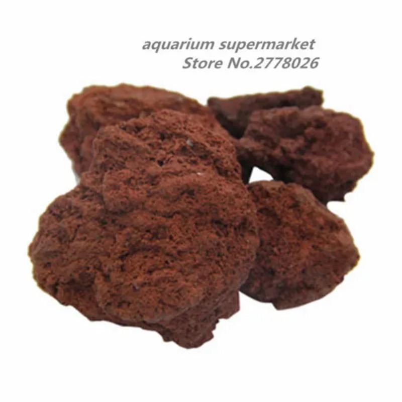 Lọc bể cá cảnh chất liệu cá cả - đánh giá và giá Planted Aquarium With Sand