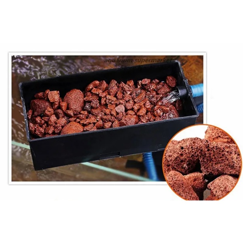 Lọc bể cá cảnh chất liệu cá cả - đánh giá và giá Planted Aquarium With Sand