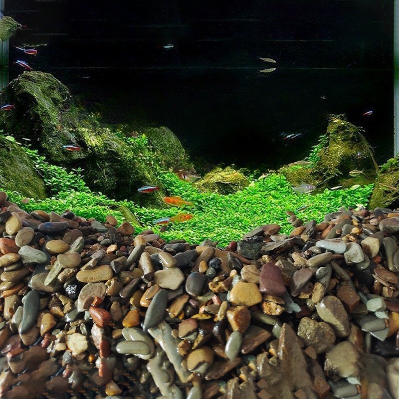 Stream Pebbles Aquarium Bottom - đánh giá và giá Planted Aquarium With Sand