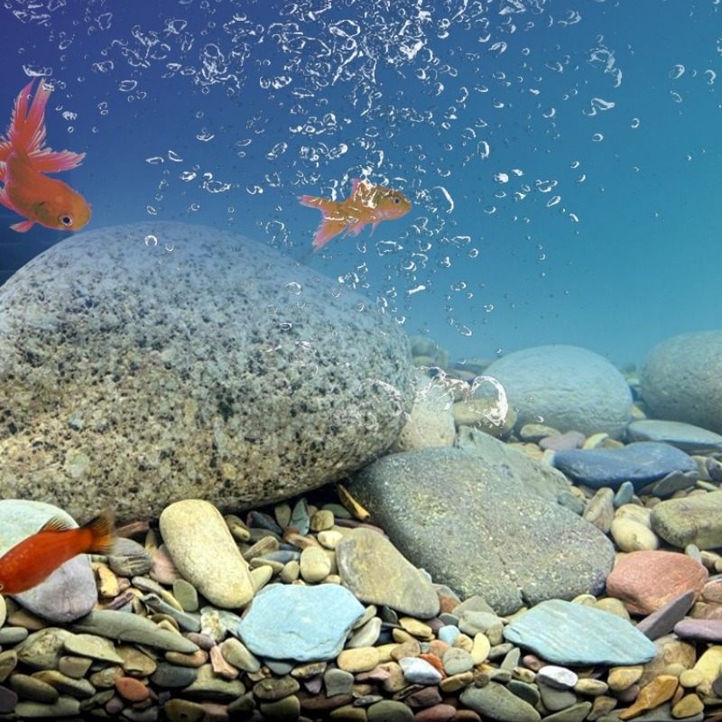 Stream Pebbles Aquarium Bottom - đánh giá và giá Planted Aquarium With Sand