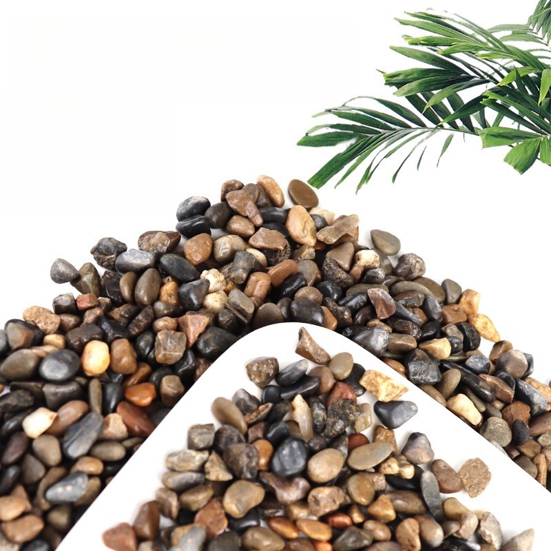 Stream Pebbles Aquarium Bottom - đánh giá và giá Planted Aquarium With Sand