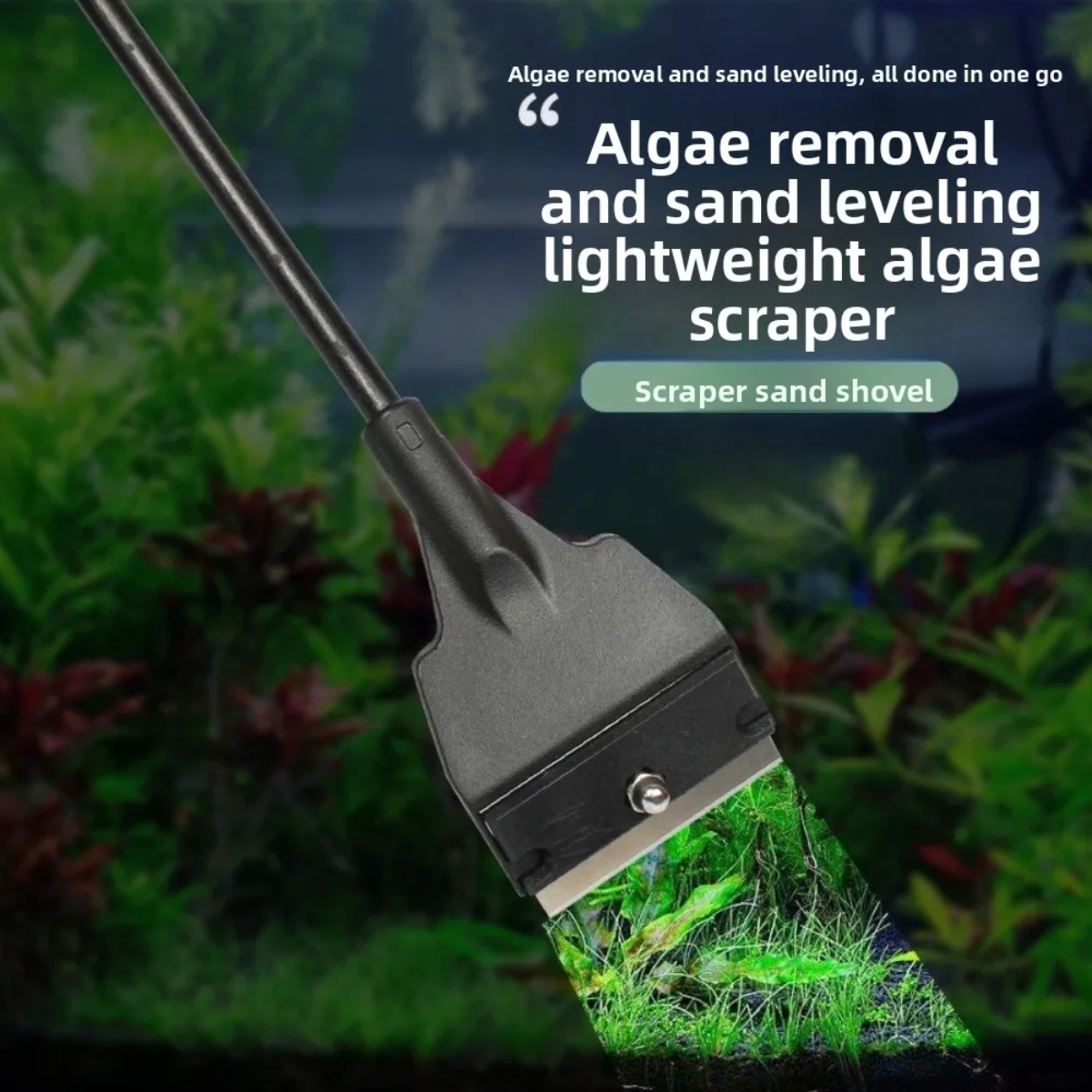 Fish Tank Glass Algae Scraper  - đánh giá và giá Planted Aquarium With Sand
