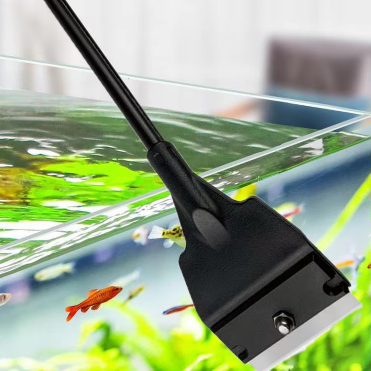 Fish Tank Glass Algae Scraper  - đánh giá và giá Planted Aquarium With Sand
