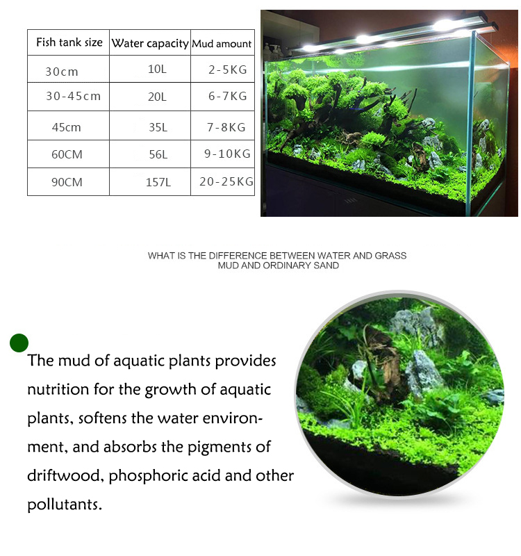 Bể Cá Cảnh Vật Có Hạt Đất Fish - đánh giá và giá Aquarium Plants Book