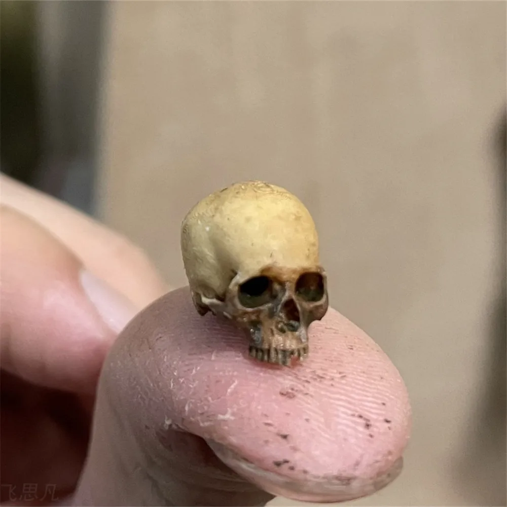 Mini Skull High Quality Miniat - đánh giá và giá Aquarium Plants Book