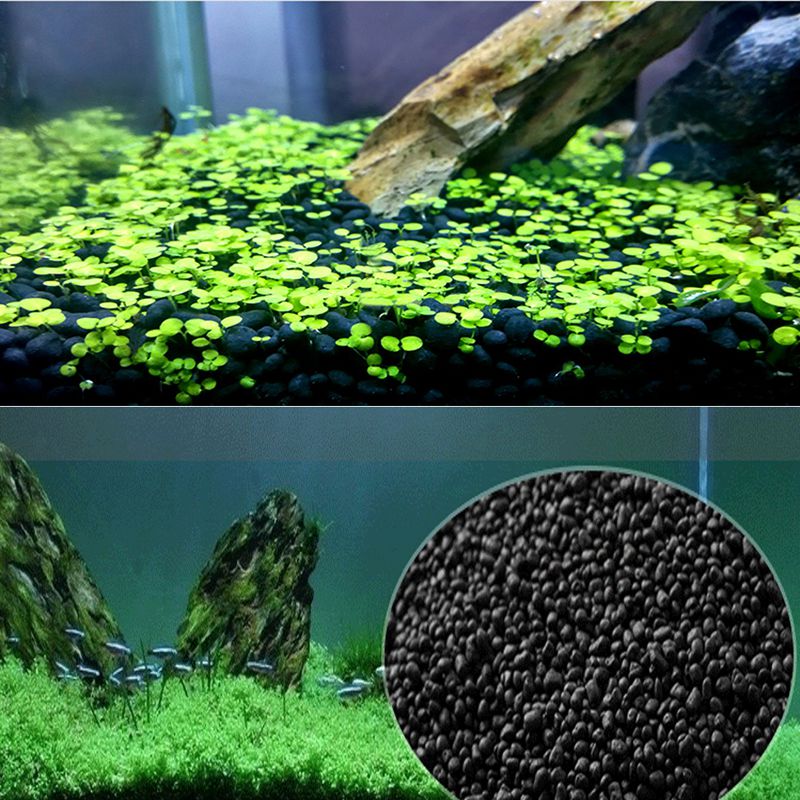 Fish  Sand Auarium Substrate 1 - đánh giá và giá Planted Aquarium With Sand