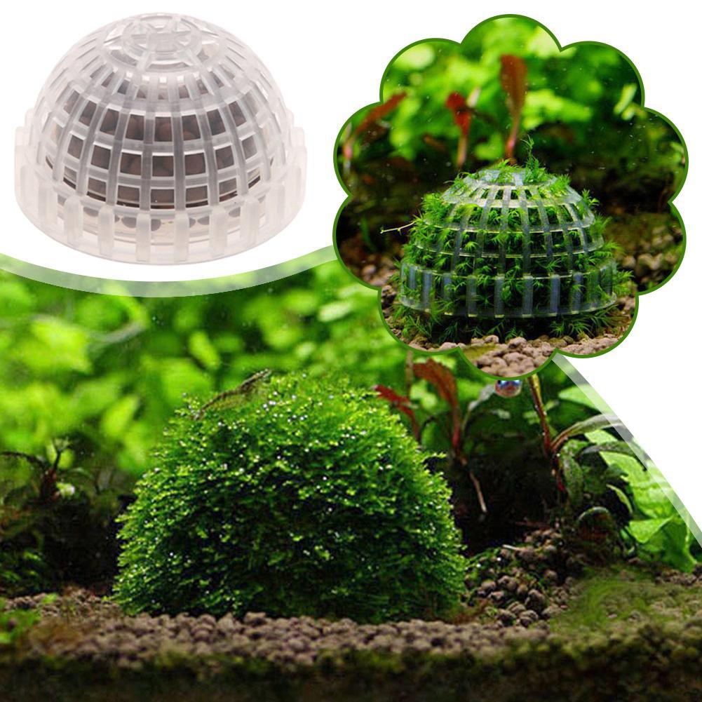 1pc Aquatic Pet Supplies Decor - đánh giá và giá Aquarium Planted Tank Substrate