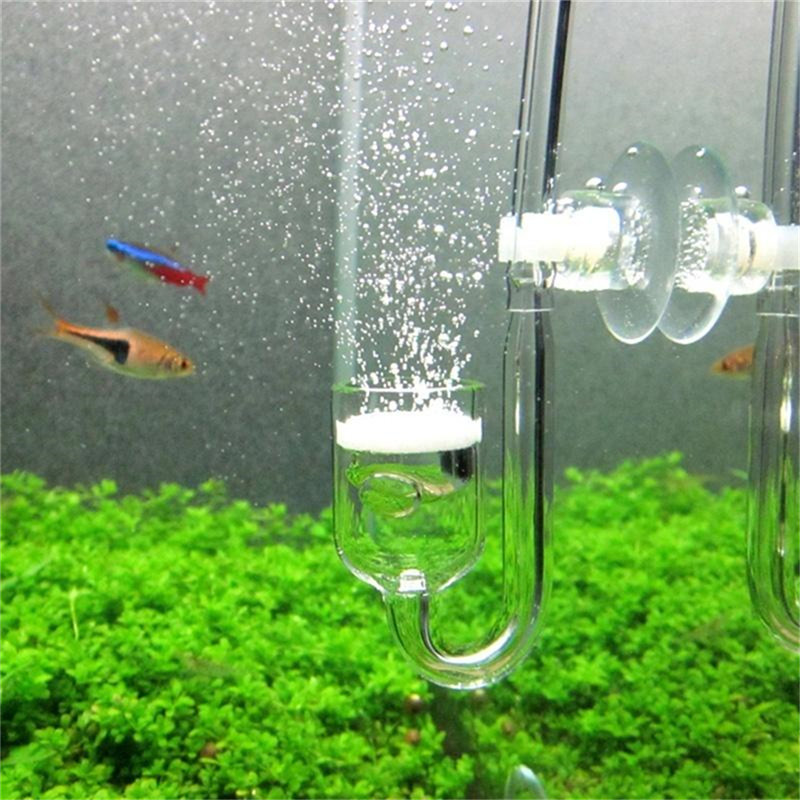 Mini Co2 Diffusers Acrylic U-t - đánh giá và giá Aquarium Planted Tank Substrate