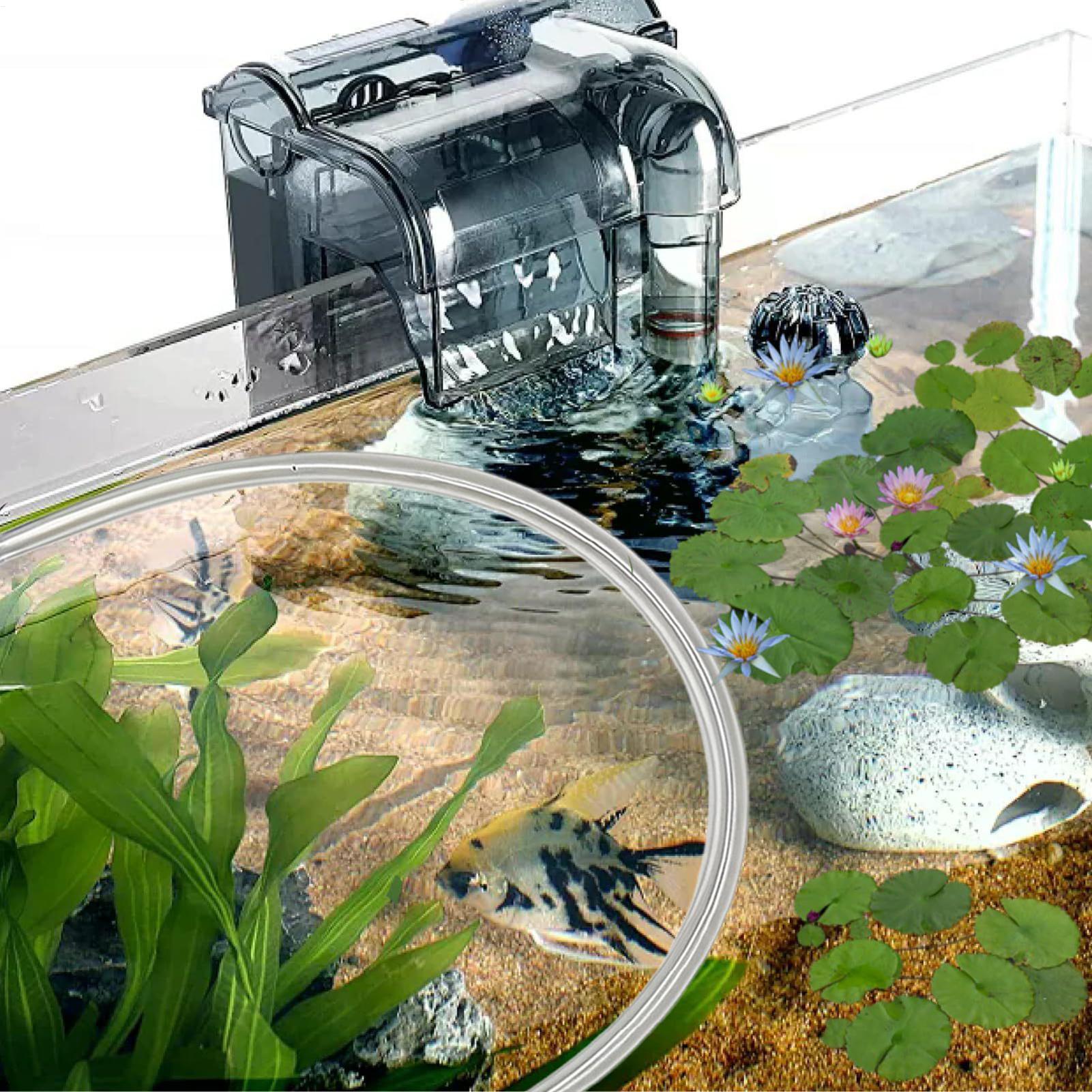 Aquarium Floating Plant Barrie - đánh giá và giá Planted Aquarium Tank Kit